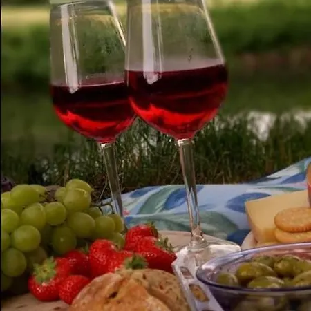 Neu! In Mit Balkon Mucheln